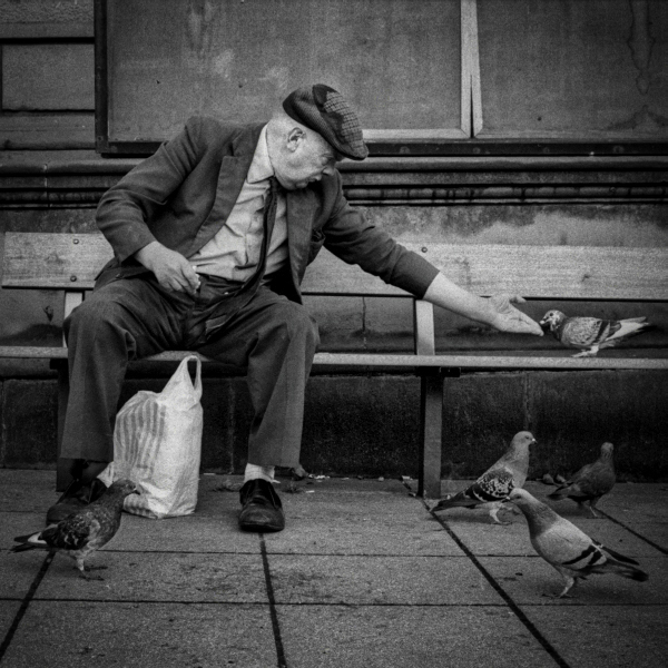 Man feeding pigeons by old Town Hall - Blackburn - A Town and its People by Christopher John Ball