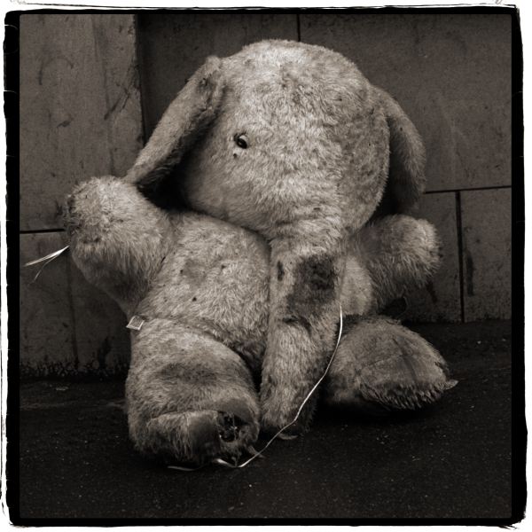 Toy Elephant from Discarded: Photographic Essay by Christopher John Ball - Photographer & Writer