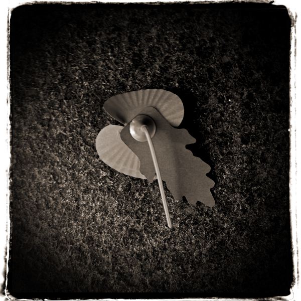 Remembrance Day Poppy on Floor from Discarded a Photographic Essay by Christopher John Ball Photographer and Writer