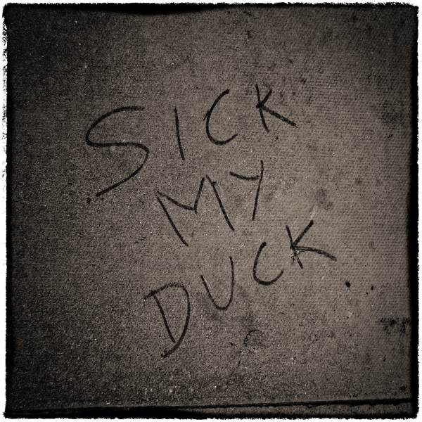 Sick my Duck pavement graffiti