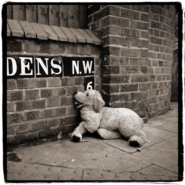 Soft Toy Dog - From Discarded a Photographic Essay by Christopher John Ball Photographer and Writer