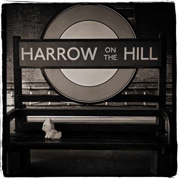 Soft Toy left on bench at Harrow on the Hill Tube Station - from Discarded a Photographic Essay by Christopher John Ball Photographer and Writer