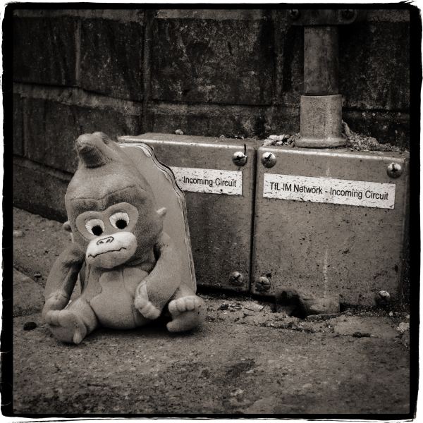 Toy Monekey left near circuit box by road from Discarded a Photographic Essay by Christopher John Ball Photographer and Writer