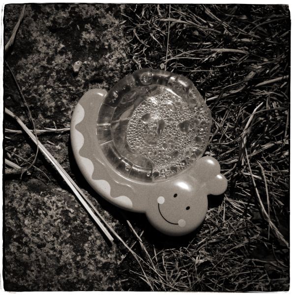 Toy Snail on Grass from Discarded a Photographic Essay by Christopher John Ball Photographer and writer