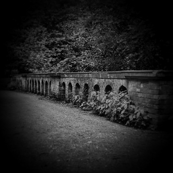 Holga photograph of Hampstead Heath, London - 1  by Christopher John Ball - Photographer & Writer