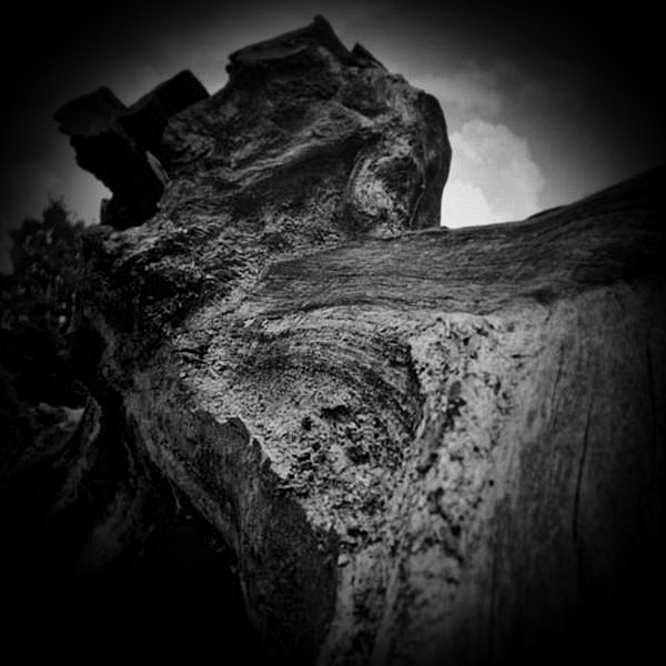 Holga Series 'Bordered' - 3 by Christopher John Ball - Photographer & Writer