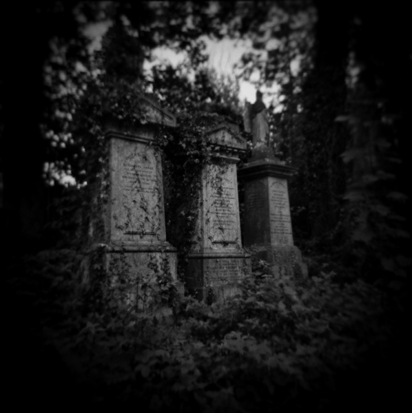 Holga Study of Abney Park in London -7 by Christopher John Ball - Photographer & Writer