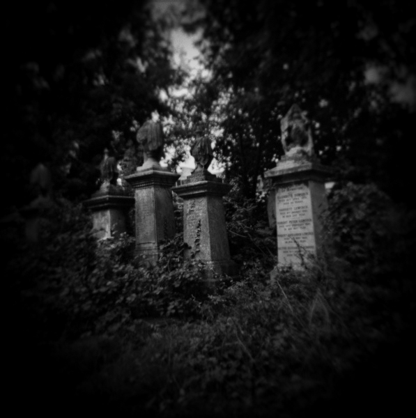 Holga Study of Abney Park in London -4 by Christopher John Ball - Photographer & Writer