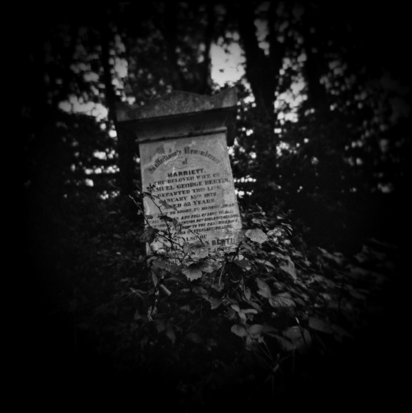 Holga Study of Abney Park in London -5 by Christopher John Ball - Photographer & Writer