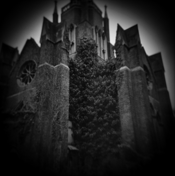 Holga Study of Abney Park in London -3 by Christopher John Ball - Photographer & Writer