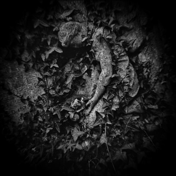 Holga Study of Abney Park in London -7 by Christopher John Ball - Photographer & Writer