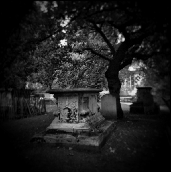 Holga Study of Corams Field Park, London - 3  by Christopher John Ball