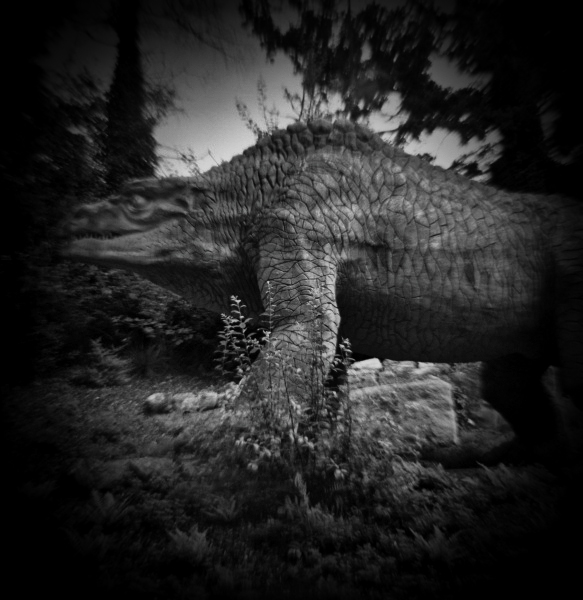 Diana Photographs of Dinosaur Court at Crystal Palace - 5 by Christopher John Ball - Photographer & Writer