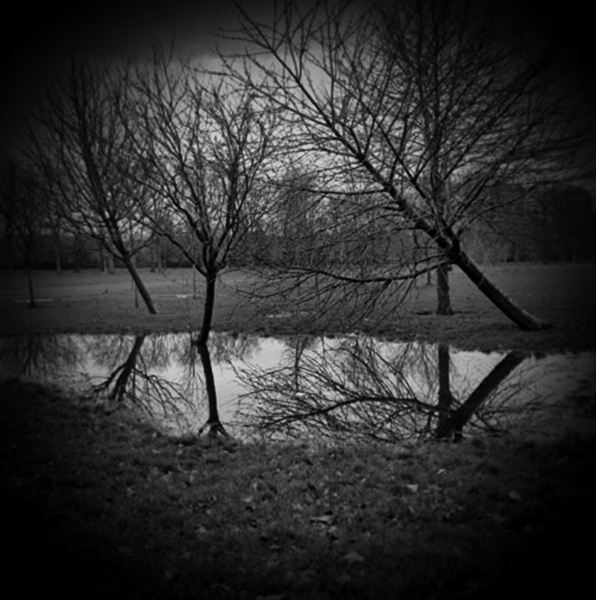 Holga Series 'Bordered' - 4 by Christopher John Ball - Photographer & Writer