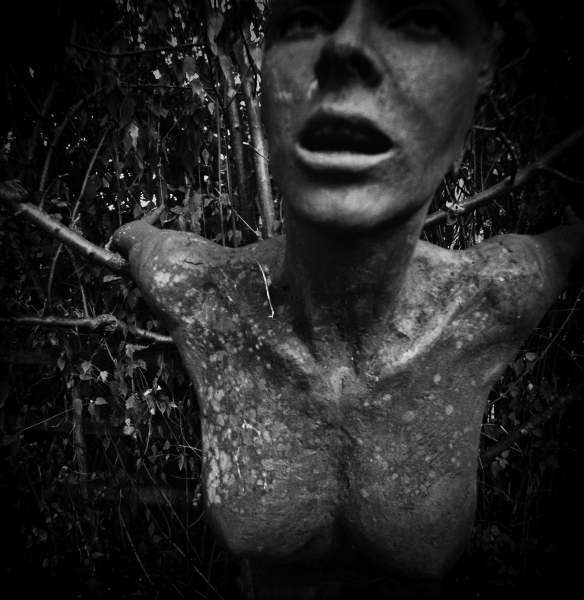 Holga Series 'Guilt?' - 6 by Christopher John Ball