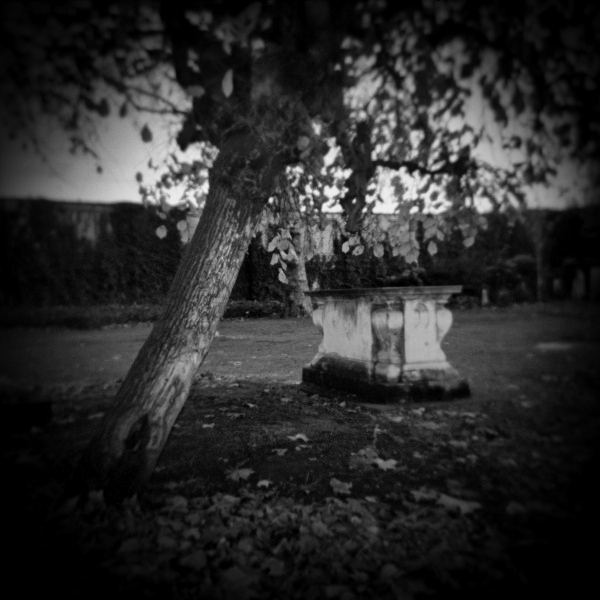 Holga Photograph of St Pancras Graveyard -7  by Christopher John Ball - Photographer & Writer