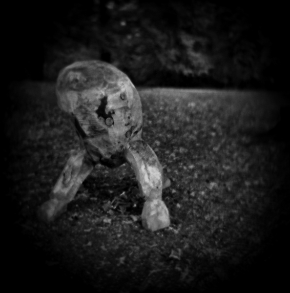 Holga photograph of Garden Memorial - 4 by Christopher John Ball