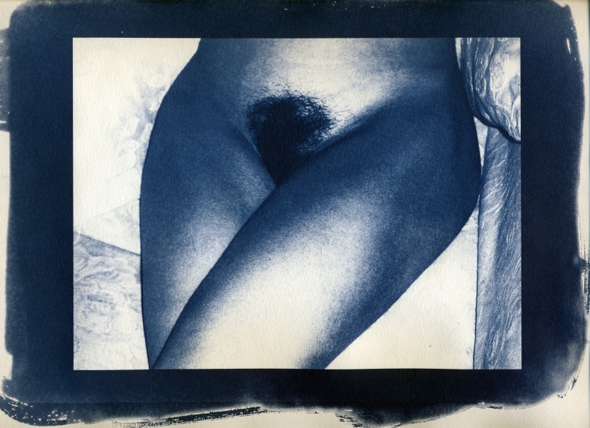 Nude Cyanotype - 3 Cyanotype Flower and Nude Photographs by Christopher John Ball - Photographer & Writer