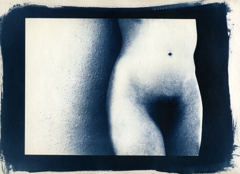 Nude Cyanotype - 4 Cyanotype Flower and Nude Photographs by Christopher John Ball - Photographer & Writer