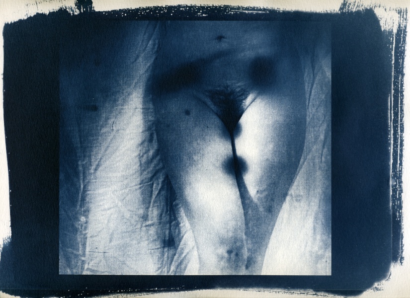 Nude Cyanotype - 6 Cyanotype Flower and Nude Photographs by Christopher John Ball - Photographer & Writer